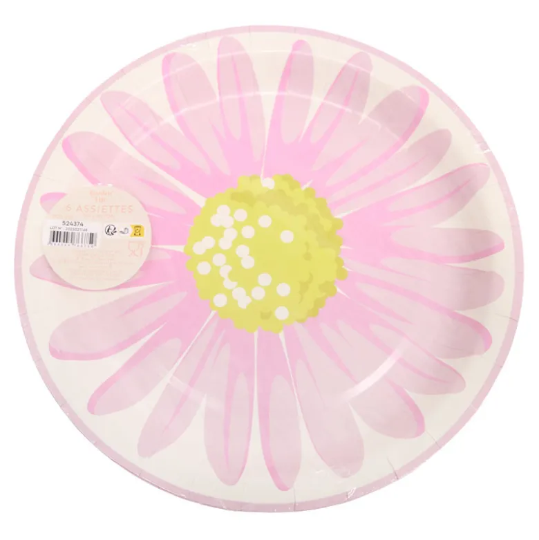 Assiette jetable d26cm x6 m24