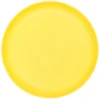Assiette plastique strie 25cm