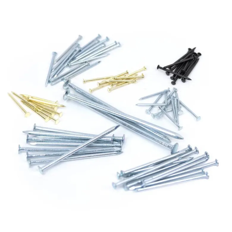 Assortiment de clous x500
