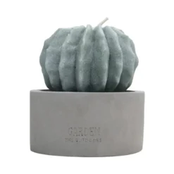 Bougie citronnelle forme cactus