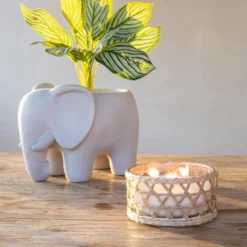 Bougie citronnelle pot en verre