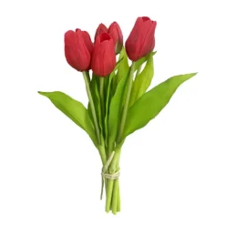 Bouquet de tulipes