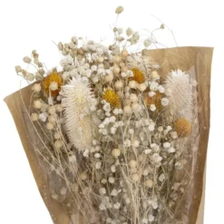 Bouquet fleurs sechees