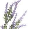 Bouquet lavande