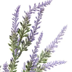 Bouquet lavande