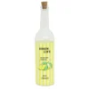 Bouteille led limonade