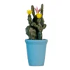Cactus dans pot bleu