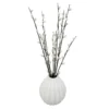 Chatons dans vase