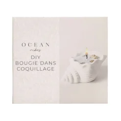 Diy bougie dans coquillage