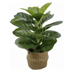 Ficus lyrata artificiel panier