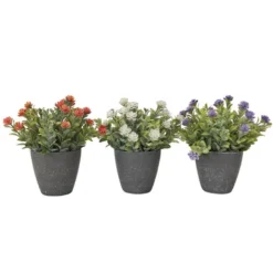 Fleurs en pot