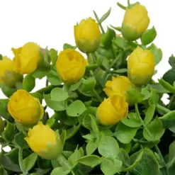Fleurs suspendre