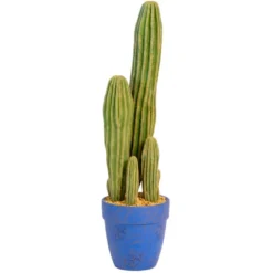Grand cactus dans pot h66cm
