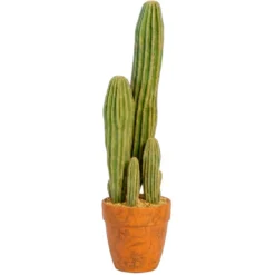 Grand cactus dans pot h66cm