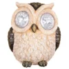 Hibou xl yeux scintillants
