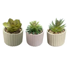 Mini succulente pot strie