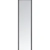 Miroir dressing 30x120cm