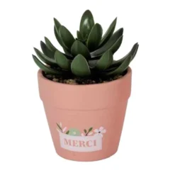 Petite plante artificelle- merci