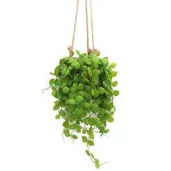 Plante artificielle a suspendre