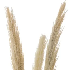 Roseau sauvage 115cm x3
