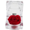 Rose eternelle dans son ecrin