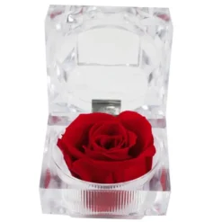 Rose eternelle dans son ecrin