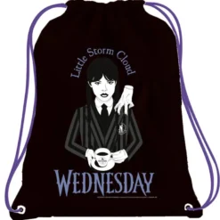 Sac piscine isotherme wednesday