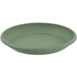 Soucoupe marina 26cm laurier