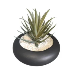 Succulente pot rond