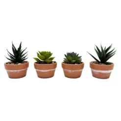 Succulente pot terracota