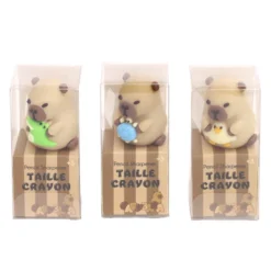 Taille crayon capybara