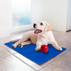 Tapis chien rafraichissant
